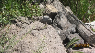 IMG_2548.JPG