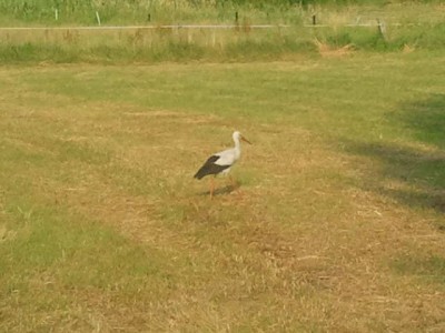 2013-07-13 18.30.34.jpg