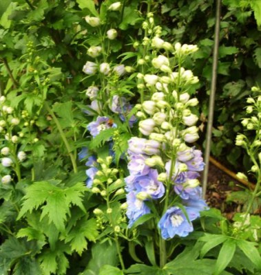 Photo6.jpg