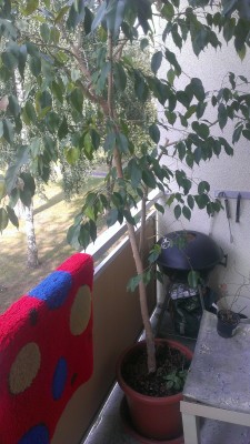 2013-07-17 09.02.48.jpg