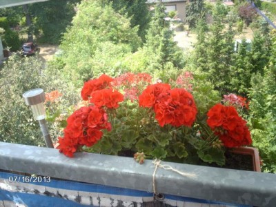 IMAG3427.JPG