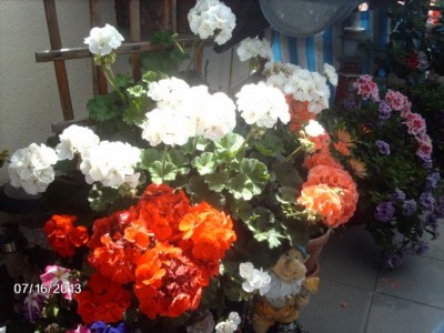 IMAG3421.JPG