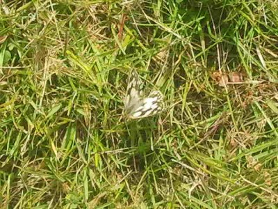 2013-07-16 11.51.12.jpg