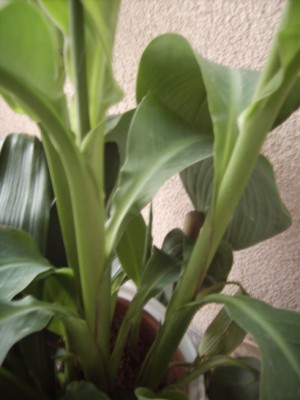 PICT2680.JPG