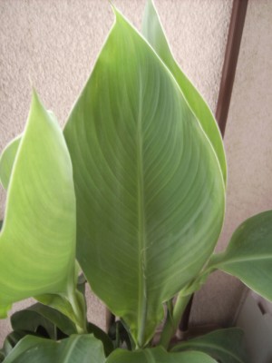 PICT2682.JPG