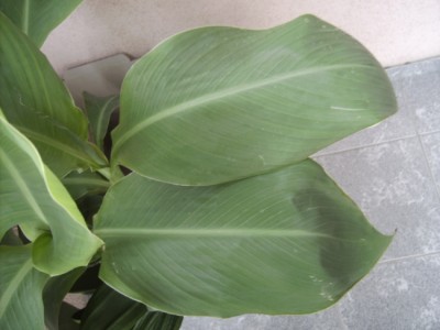 PICT2678.JPG