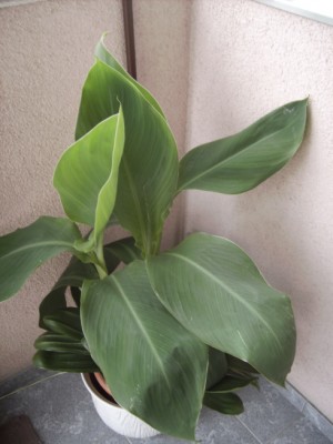 PICT2677.JPG