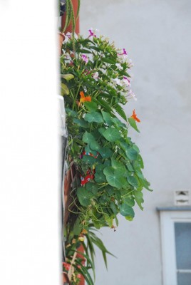 DSC_0065_Kueche.jpg
