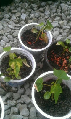 2013-07-20_20-03-00.jpg