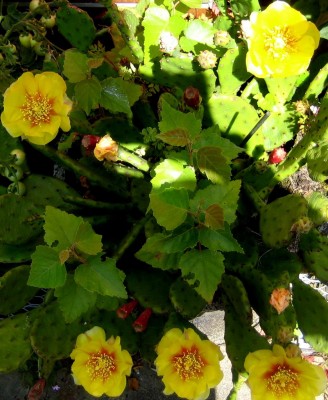 2013-12-0321.jpg