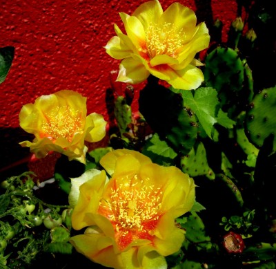 2013-12-018.jpg