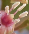 IMG094a.JPG
