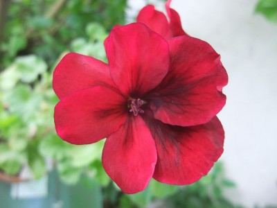 DSCF6265.JPG