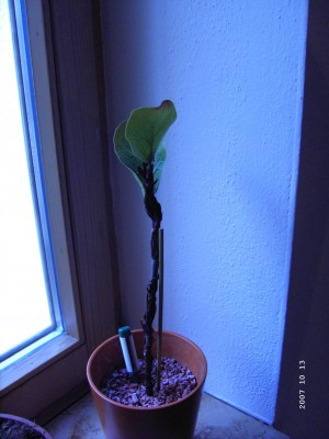 PICT0594.JPG