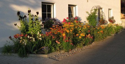 Straßenbeet abends_0119.jpg