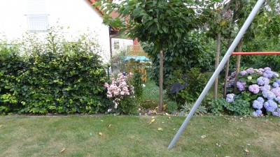 DSC00467.jpg