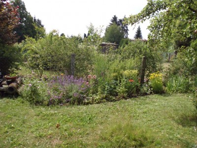 DSCI0719.JPG