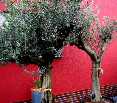 2013-123-0610.jpg