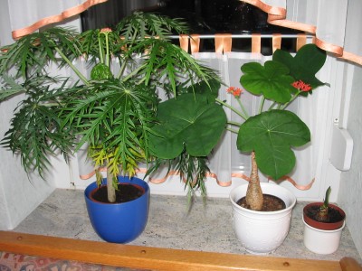 Bild 001.jpg