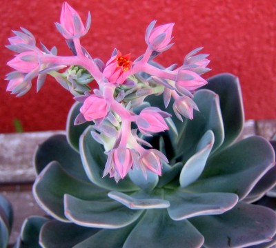2013-12-0613.jpg