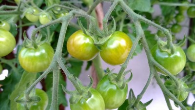 WP_20130726_017.jpg