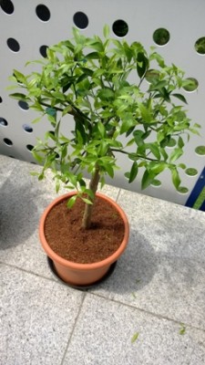 WP_20130726_023.jpg