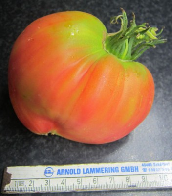 Litauen Herztomate.jpg