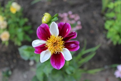 IMG_0414.jpg
