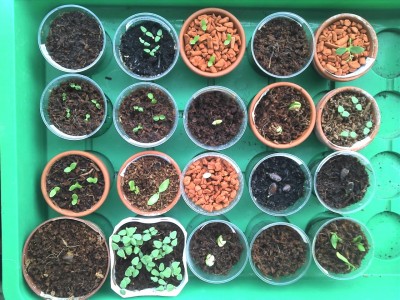 28.07.13 update (5).jpg