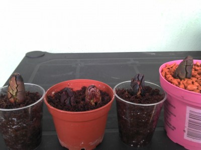 28.07.13 update (4).jpg