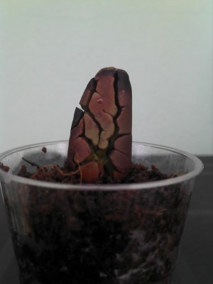 28.07.13 update (3).jpg