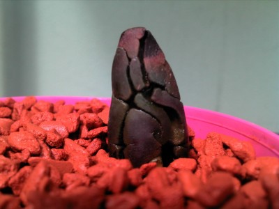 28.07.13 update (2).jpg