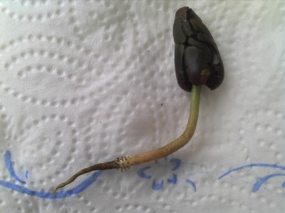 28.07.13 update (1).jpg