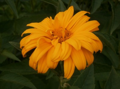 Rätsel (640x479).jpg