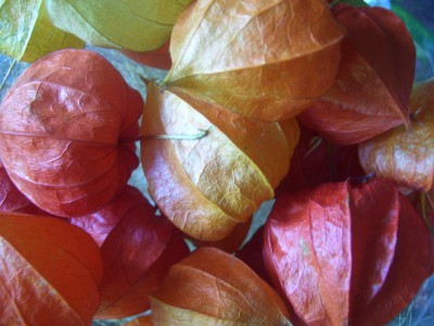 mööp 192.jpg