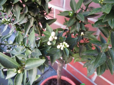 9bf09287.l.jpg