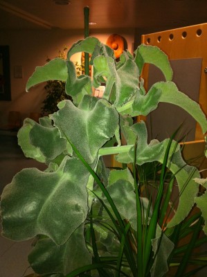 Bild 001.jpg