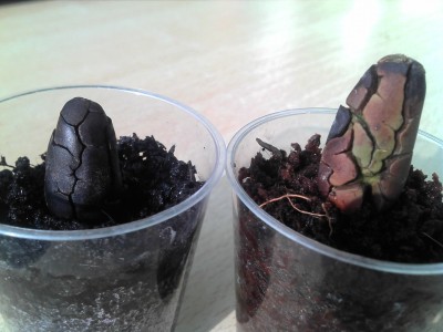 30.07.13 update (2).jpg