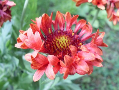 DSCI0768.JPG