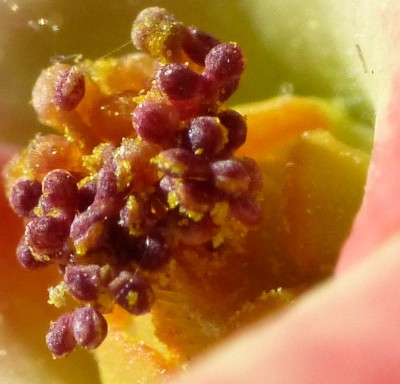 P1250224.jpg