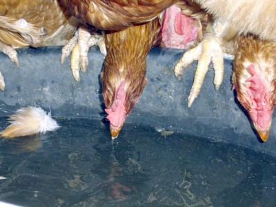 -und ab durch die Mitte!.jpg