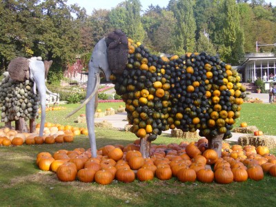 2 - Kopie.JPG