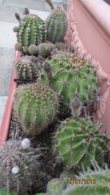 2013_1776.jpg