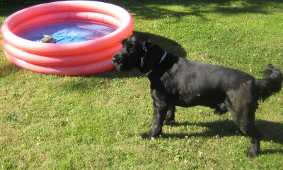 Garten 2013 150.jpg