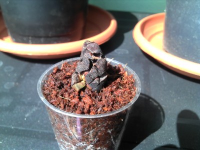 04.08.13 update (3).jpg