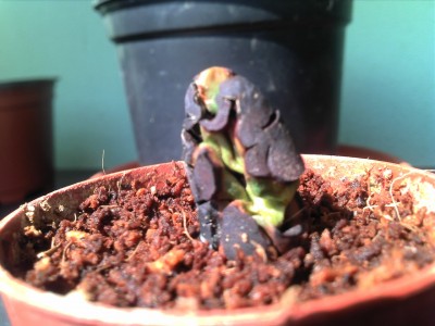 04.08.13 update (2).jpg