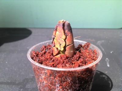 04.08.13 update (1).jpg