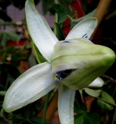 2013-123-1679.jpg