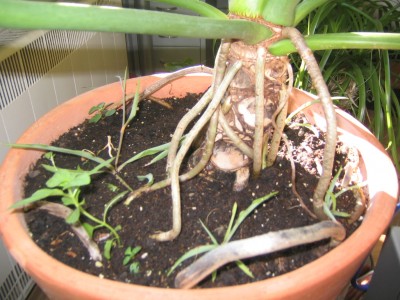 Bild 086.jpg