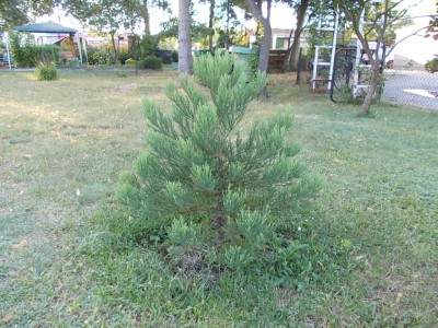 DSCN1783.JPG